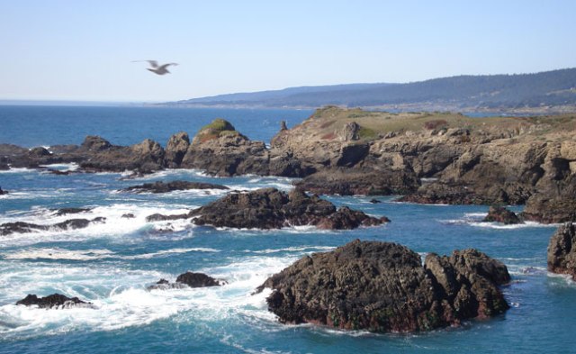 The Sonoma Coast, 30 minutes from the retreat center.